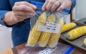 How Long Does Cooked Corn Last In The Fridge TOP Full Guide 2020