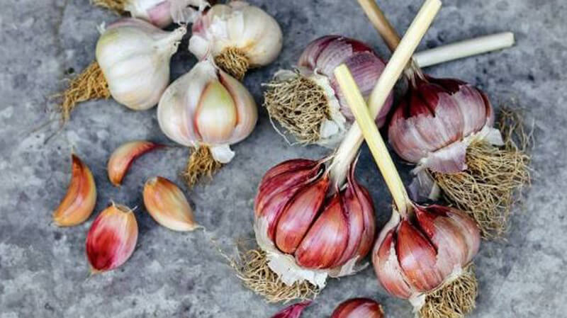 How Long Does Garlic Last In The Fridge TOP Full Guide 2020