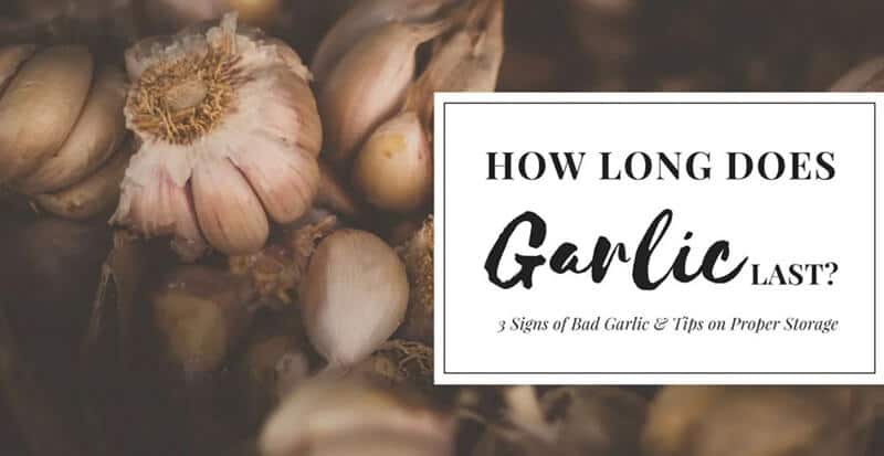 How Long Does Garlic Last In The Fridge or about the Counter