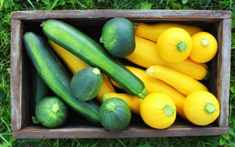 How Long Does Zucchini Last In Fridge TOP Full Guide 2020