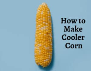How To Cook Corn In A Cooler TOP Full Guide 2020