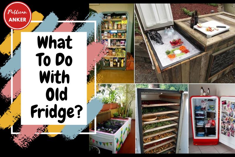 What To Do With Old Fridge 11 Best Way TOP Full Guide 2023
