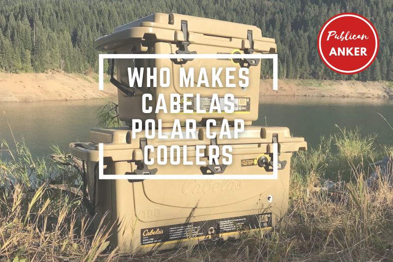 Who Makes Cabelas Polar Cap Coolers TOP Full Guide 2023