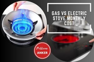Gas Vs Electric Stove Monthly Cost 2023 Top Full Guide