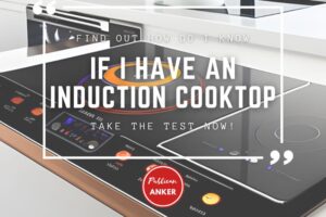 How Do I Know If I Have An Induction Cooktop 2023 Top Full Guide