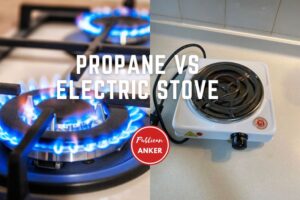 Propane Vs Electric Stove 2023 Things To Consider Top Full Review