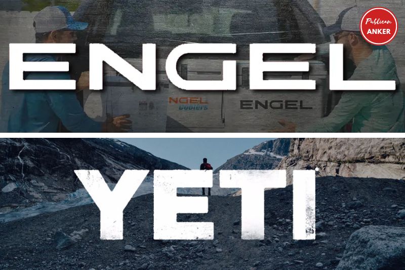 Engel Coolers Vs Yeti Coolers An Introduction To Both Brands