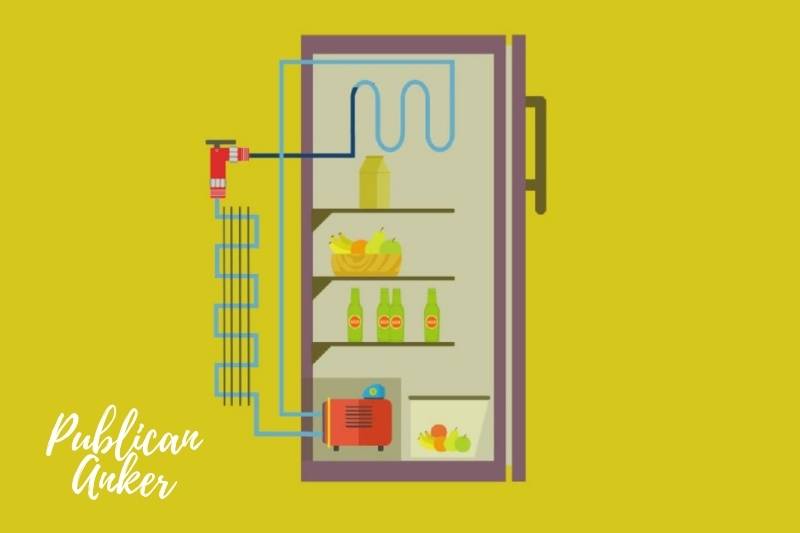 How Does a Refrigerator Work (1)