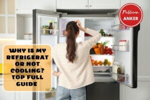 Why Is My Refrigerator Not Cooling Top Full Guide 2023
