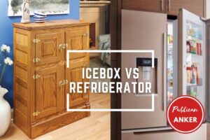 Icebox Vs Refrigerator 2023 What Is The Best For You