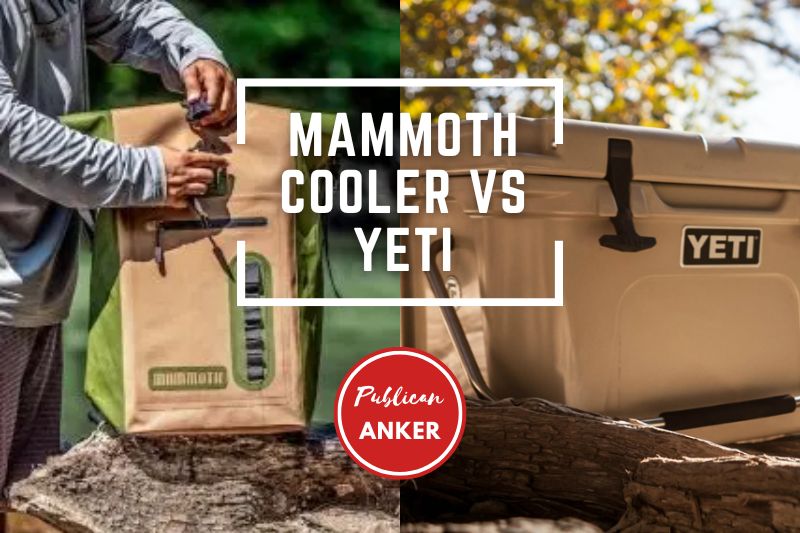Mammoth Cooler Vs Yeti 2023 What Is The Best For You