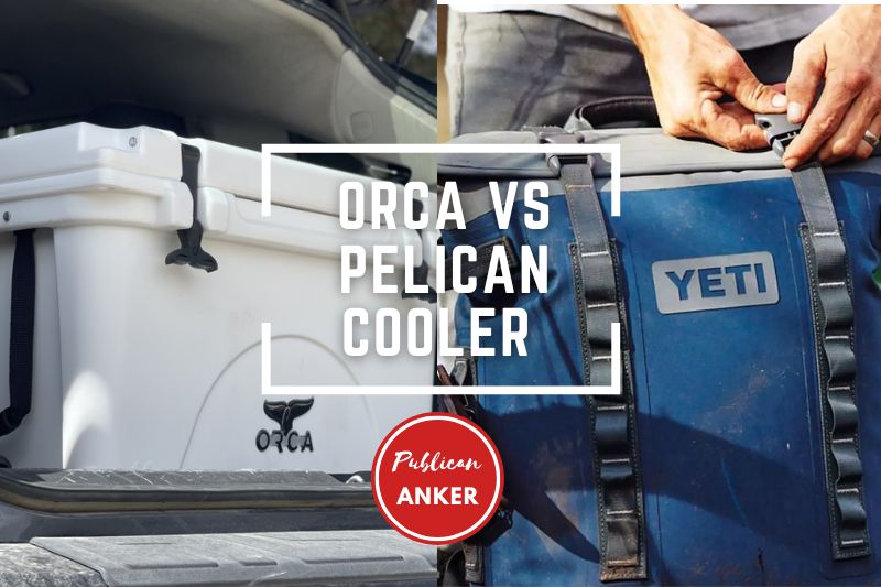 Orca Vs Pelican Cooler 2023 What Is The Best For You