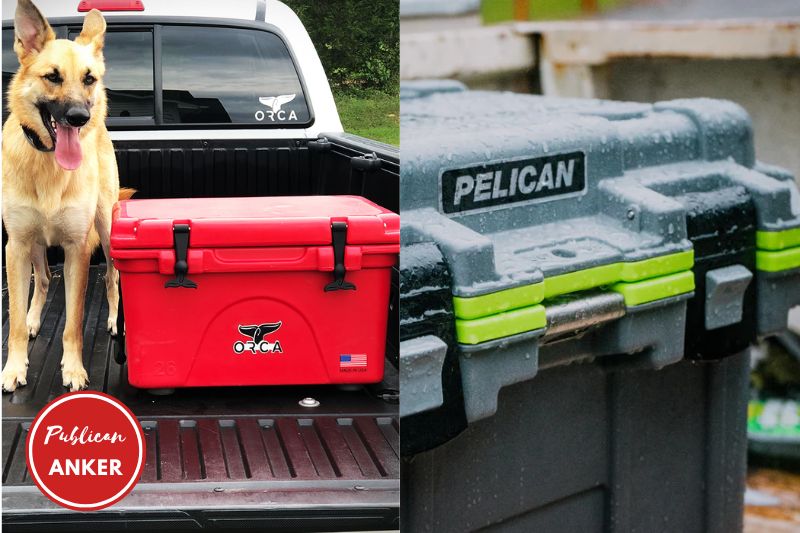 Orca vs. Pelican Cooler What Are The Differences