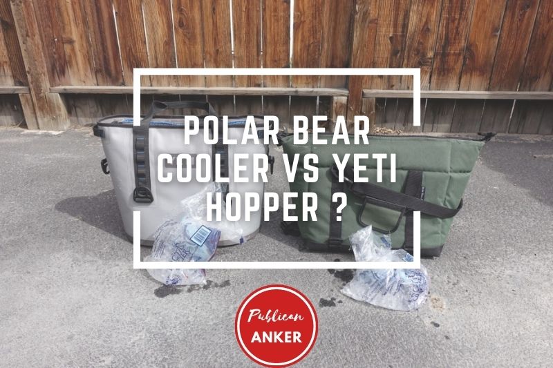 Polar Bear Cooler Vs Yeti Hopper 2023 What Is The Best For You