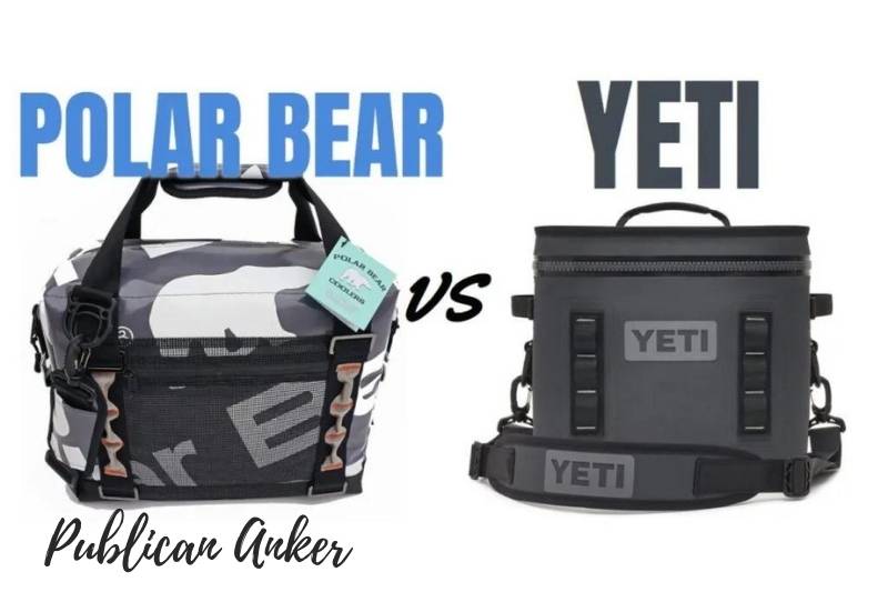The Differences Between Yeti Hopper vs. Polar Bear Cooler