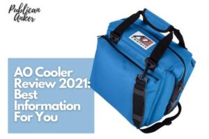 AO Cooler Review 2022 Best Information For You