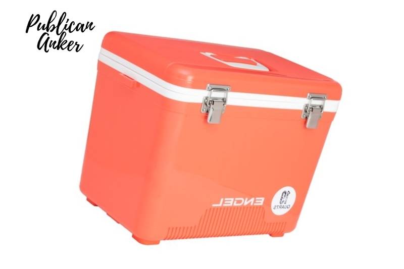 Are you looking for the Engel 12v cooler