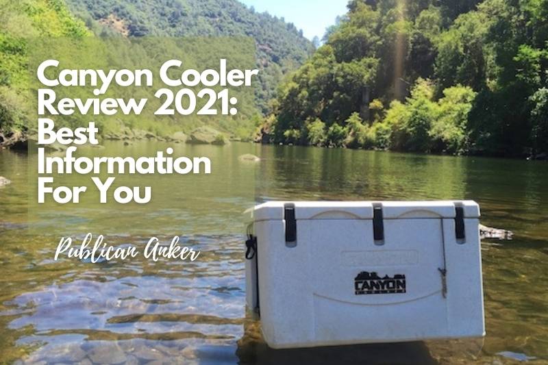 Canyon Cooler Review 2022 Best Information For You