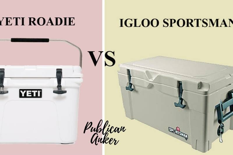 Igloo Sportsman Cooler vs. Yeti