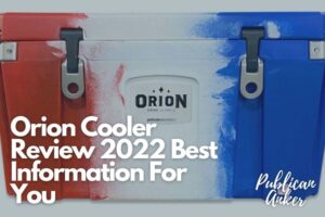 Orion Cooler Review 2022 Best Information For You (1)