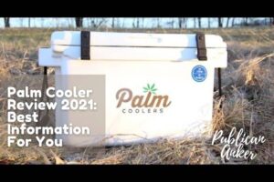 Palm Cooler Review 2022 Best Information For You