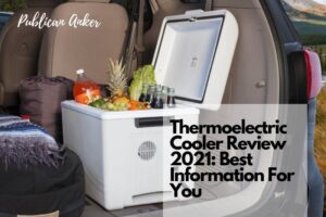 Thermoelectric Cooler Review 2022 Best Information For You
