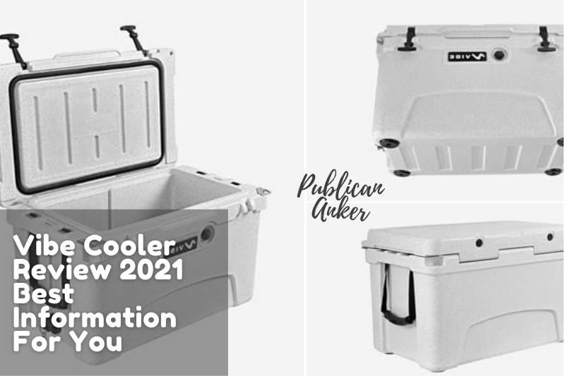 Vibe Cooler Review 2022 Best Information For You