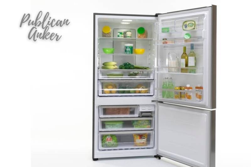 What fridges does Electrolux offer