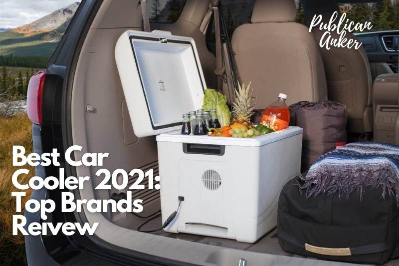 Best Car Cooler 2022 Top Brands Reivew (1)