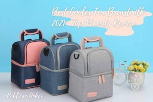 Best Cooler For Breastmilk 2022 Top Brands Review
