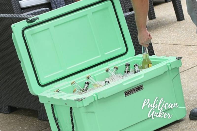 CaterGator Ice Chest – Price and Availability