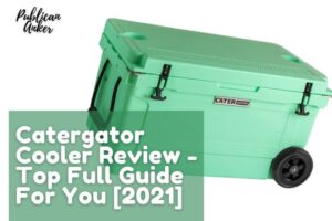 Catergator Cooler Review - Top Full Guide For You [2022]