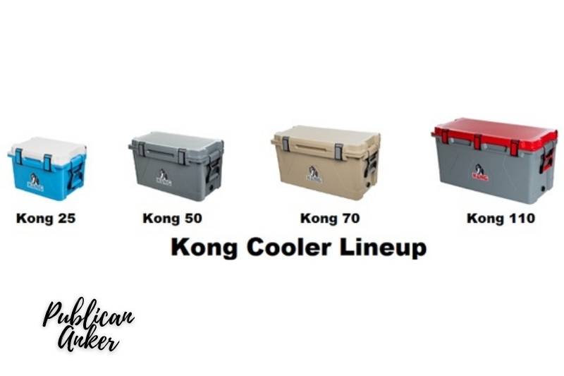 Features Of Kong Cooler Review