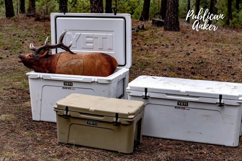 How To Choose The Best Coolers For Hunting