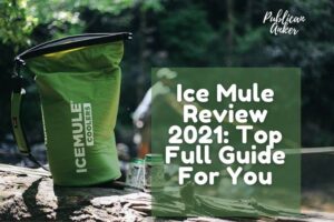 Ice Mule Review 2022 Top Full Guide For You