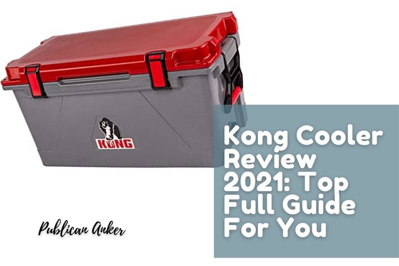 Kong Cooler Review 2022 Top Full Guide For You