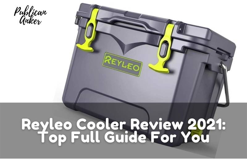Reyleo Cooler Review 2022 Top Full Guide For You