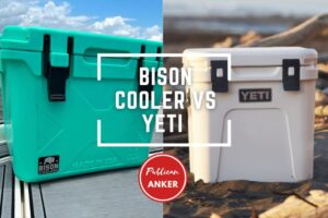 Bison Cooler Vs Yeti 2023 What Is The Best For You