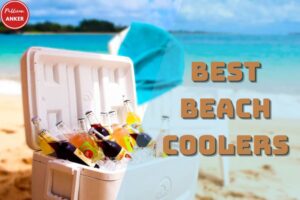 Best Beach Coolers Top Choices For You 2023