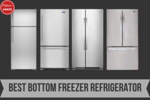 Best Bottom Freezer Refrigerator Which One Is The Best 2023