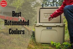 Best Rotomolded Coolers Which Is The Best 2023