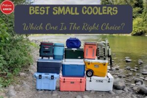 Best Small Coolers Which One Is The Right Choice 2023