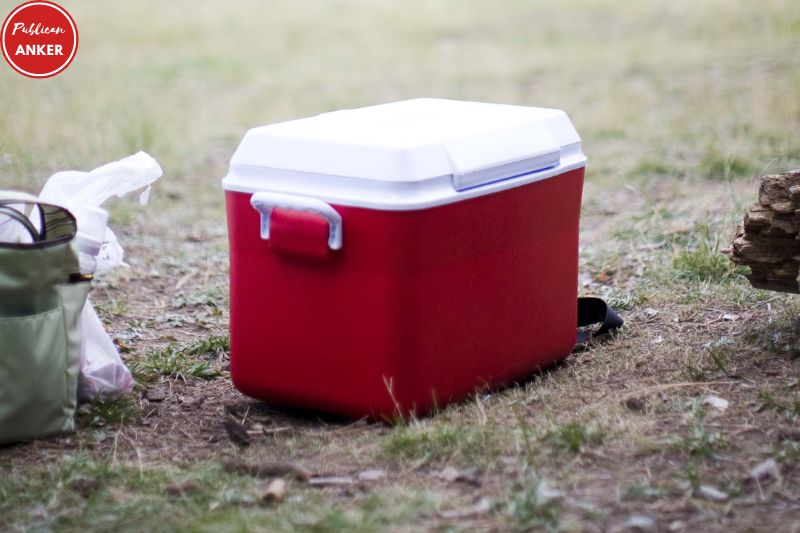 Choose the Right Type of Cooler for Your Activity