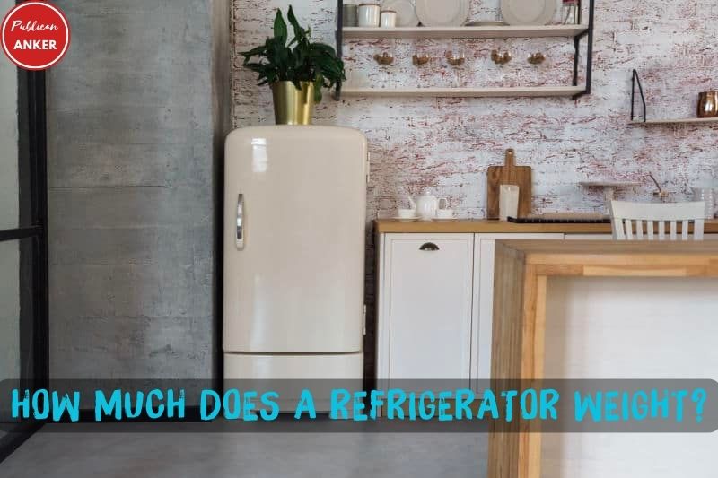 How Much Does a Refrigerator Weight 6 Reason Why Full Guide