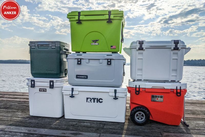 TOP Rated 10 Best Small Coolers