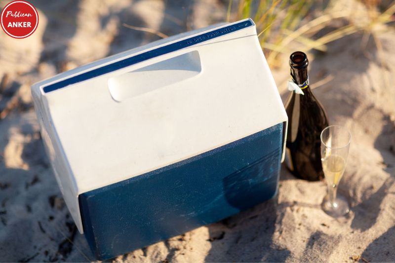 What to Look For When Choosing the Best Cooler for Beach