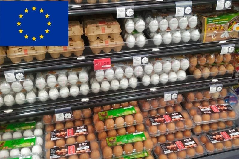 Why aren't Eggs Refrigerated in Europe